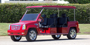 affordable golf cart rental, golf cart rent delray beach, cart rental delray beach
